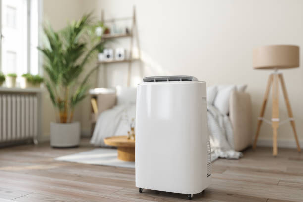 Best Ductless Mini-Split Systems in Dahlone, GA